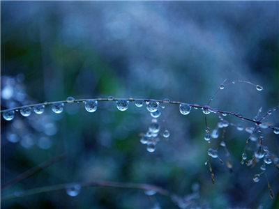 小雨滴
