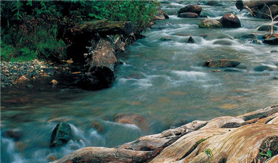 逝水流年，寂寞沧桑了伤