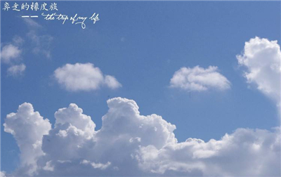 白云之恋