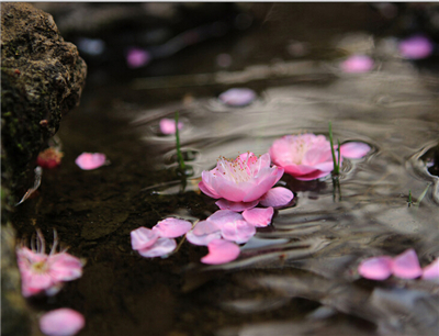 落花流水
