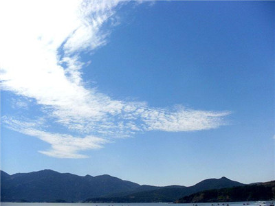 守一份云淡,挚一份风轻