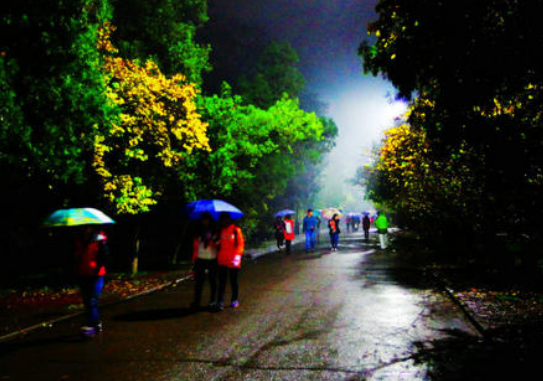南北岁月之思雨