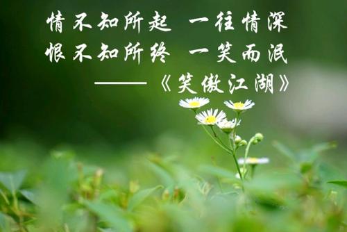 一往情深深几许