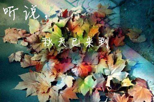 秋雨画春光