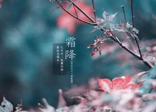 秋深山有骨，霜降水无痕！