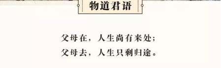 父母在，人生尚有来处