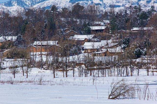 乡村的雪