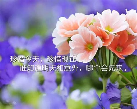 经典感悟励志人生