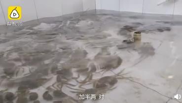 外地蟹运阳澄湖洗澡后涨价三倍 具体什么情况？？