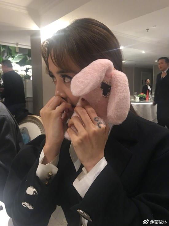 蔡依林为爱犬屋虎庆生 网友：Jolin还缺不缺宠物！