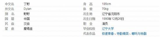 极速青春天野是谁演的-丁野的个人资料介绍