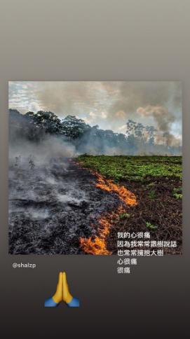 梁静茹深夜为亚马逊雨林火灾祈祷：我的心很痛！