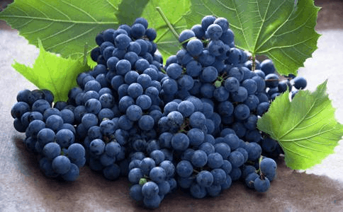 getcontent_doc_id=a815aec990c69ec3d4bb7571&type=pic&src=1_2_484_300.png.png