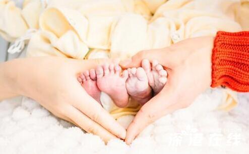 谢娜喜得双胞胎女 谢娜6年艰辛求子之路回顾：张杰曾去寺庙拜观音求子 夫妻多次赴美求孕