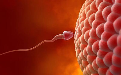 jpg 34-140516094UJC.jpg