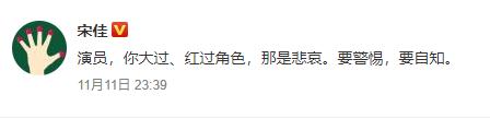 宋佳谈演员与角色关系：演员你大过红过角色那是悲哀