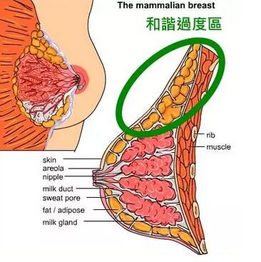 QQ截图20161212164709.jpg