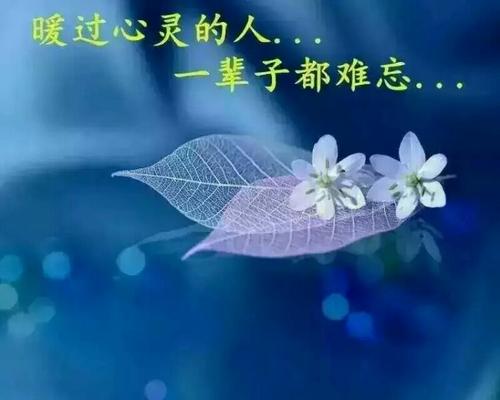 有一种爱，它比黄连还苦