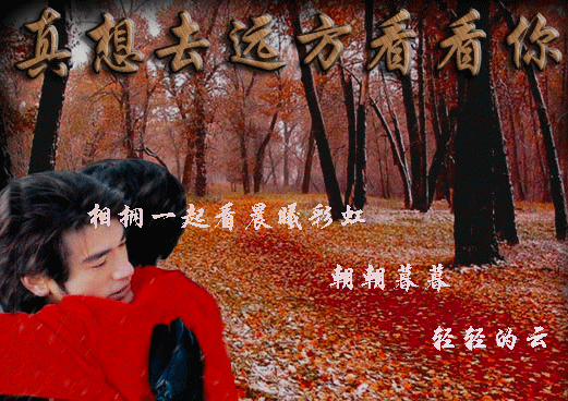 一世情缘梦里挤，一夜苦海雨