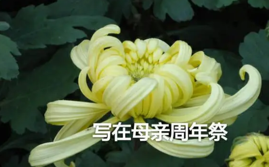 母亲的周年祭