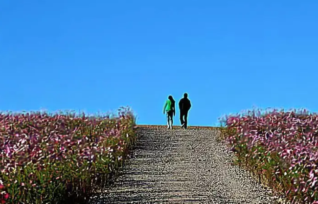 若深爱，请在时光中并肩行走！