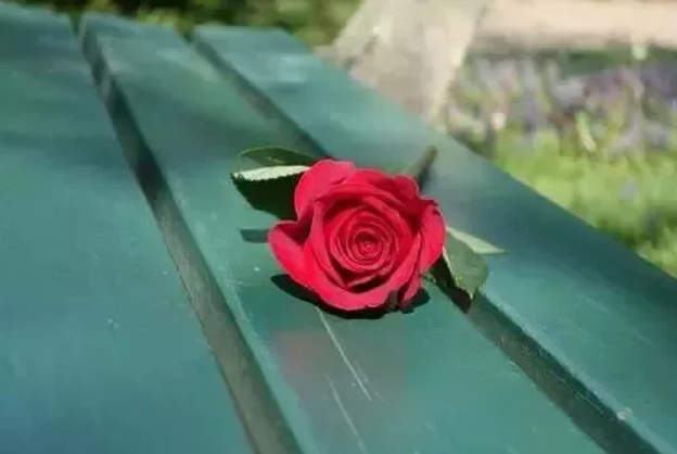 岁月苍茫，谁为谁一生守候