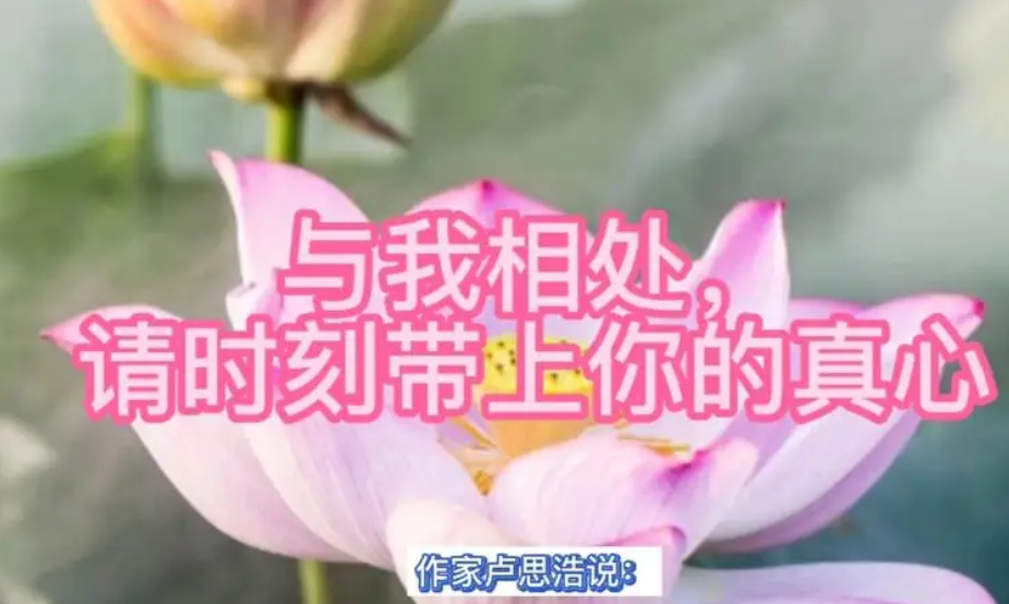 与我相处，请时刻带上你的真心