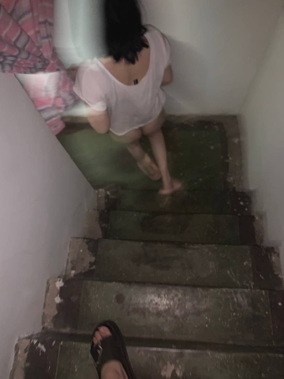 琼体遗失正茫然  逆旅仁心尽付还 肉海拾遗